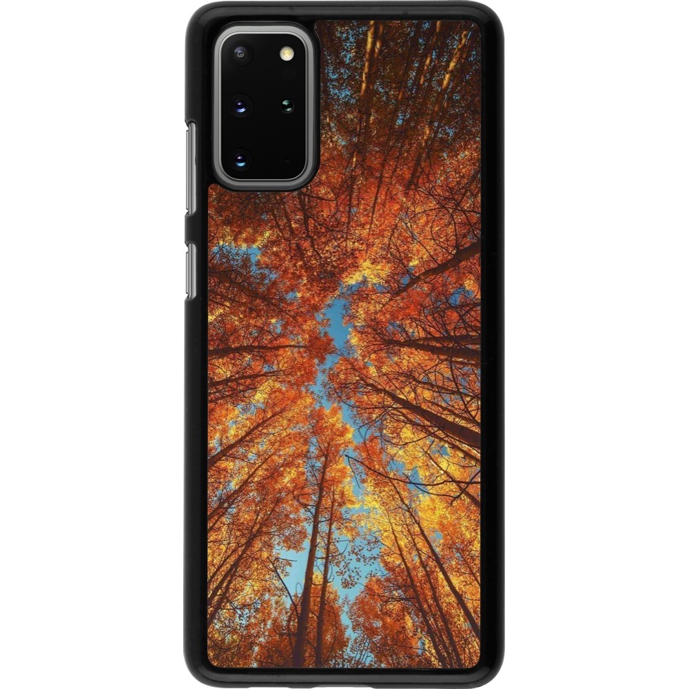 Coque Samsung Galaxy S20+ - Autumn 25 Trees