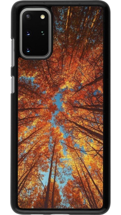 Coque Samsung Galaxy S20+ - Autumn 25 Trees