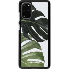 Coque Samsung Galaxy S20+ - Monstera Plant