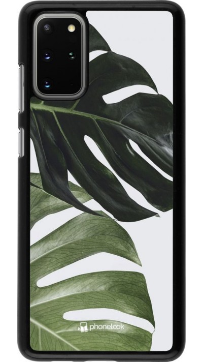 Coque Samsung Galaxy S20+ - Monstera Plant