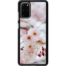 Samsung Galaxy S20+ Case Hülle - Cherry tree Spring 2026