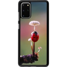 Samsung Galaxy S20+ Case Hülle - Ladybird on a mushroom Spring 2026