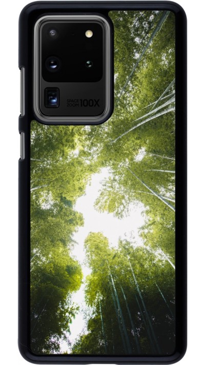 Coque Samsung Galaxy S20 Ultra - Spring 23 forest blue sky