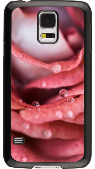 Coque Samsung Galaxy S5 - Valentine 2023 wet petals