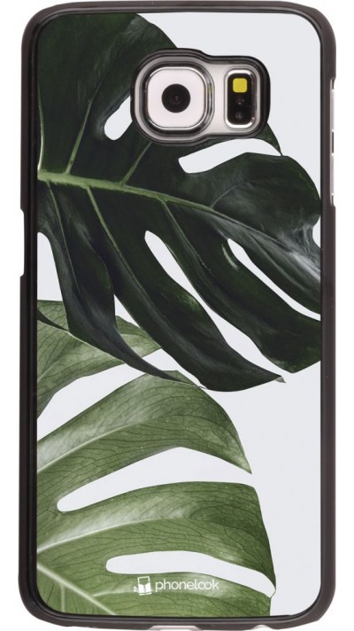 Coque Samsung Galaxy S6 edge - Monstera Plant