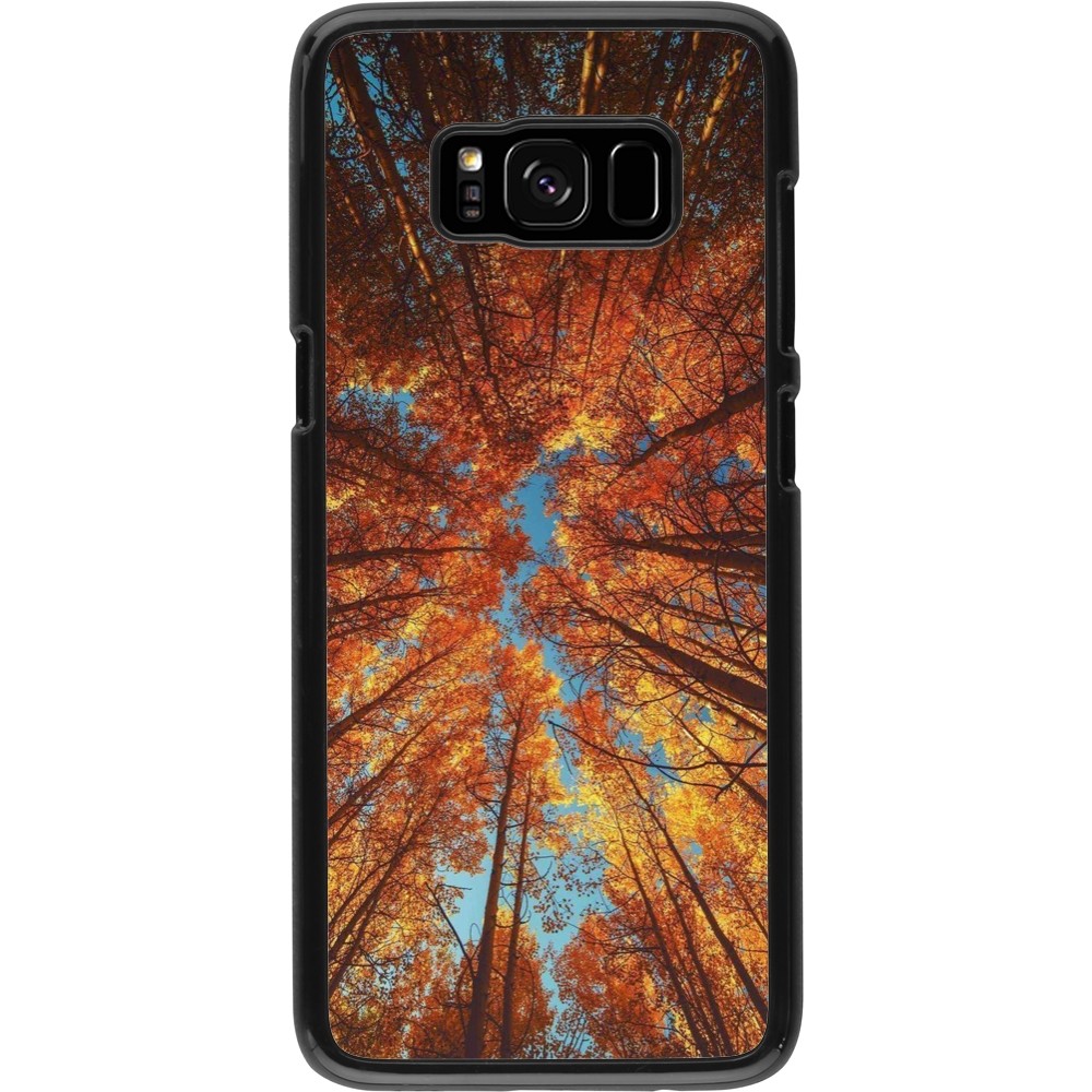 Coque Samsung Galaxy S8 - Autumn 25 Trees
