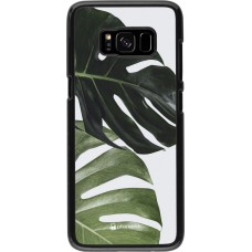 Coque Samsung Galaxy S8 - Monstera Plant