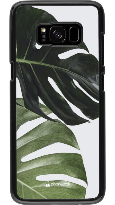 Coque Samsung Galaxy S8 - Monstera Plant