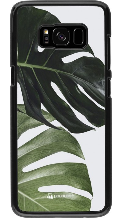 Hülle Samsung Galaxy S8 - Monstera Plant