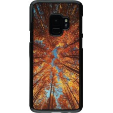 Coque Samsung Galaxy S9 - Autumn 25 Trees