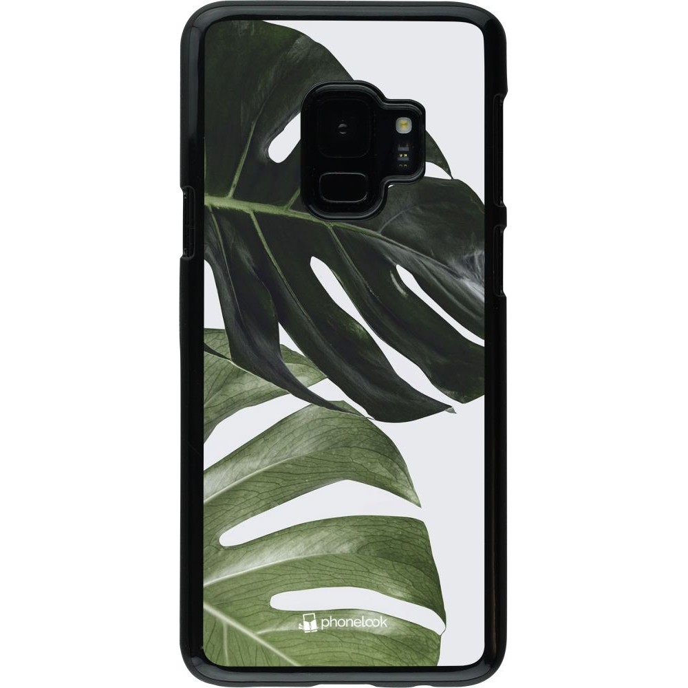Coque Samsung Galaxy S9 - Monstera Plant