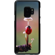 Coque Samsung Galaxy S9 - Ladybird on a mushroom 2026