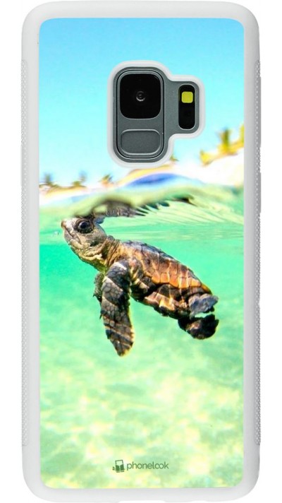 Coque Samsung Galaxy S9 - Silicone rigide blanc Turtle Underwater