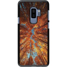 Coque Samsung Galaxy S9+ - Autumn 25 Trees