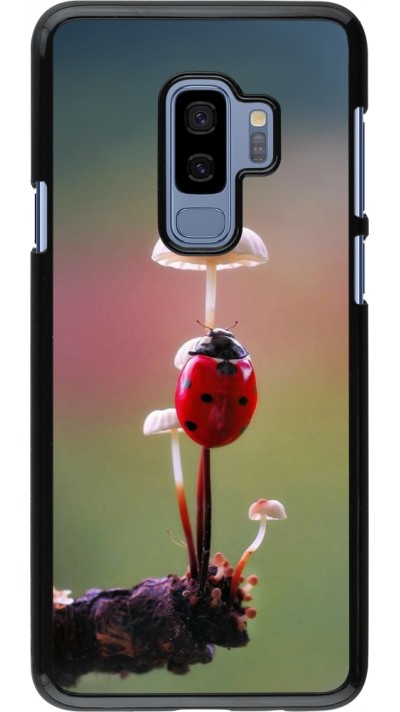 Samsung Galaxy S9+ Case Hülle - Ladybird on a mushroom Spring 2026