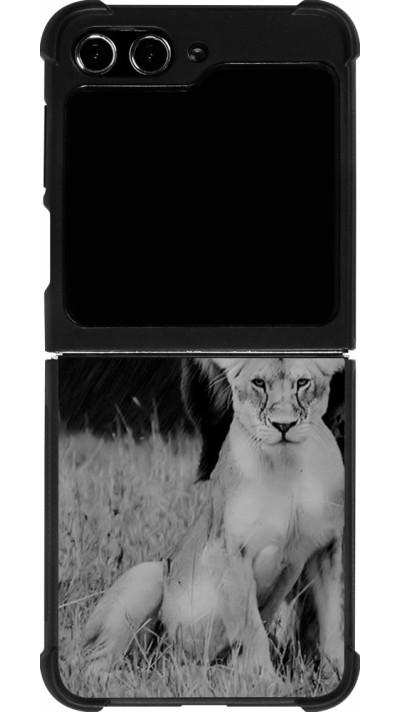 Coque Samsung Galaxy Z Flip5 - Silicone rigide noir Angry lions