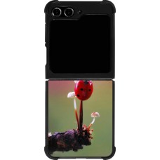 Coque Samsung Galaxy Z Flip5 - Silicone rigide noir Ladybird on a mushroom Spring 2026