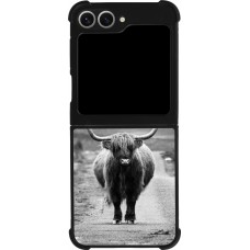 Coque Samsung Galaxy Z Flip6 - Silicone rigide noir Highland cattle