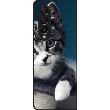 Coque Samsung Galaxy Z Fold3 5G - Meow 23