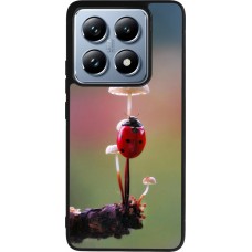 Xiaomi 14T Pro Case Hülle - Silikon schwarz Ladybird on a mushroom Spring 2026