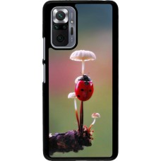 Xiaomi Redmi Note 10 Pro Case Hülle - Ladybird on a mushroom Spring 2026