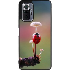 Xiaomi Redmi Note 10 Pro Max Case Hülle - Silikon schwarz Ladybird on a mushroom Spring 2026