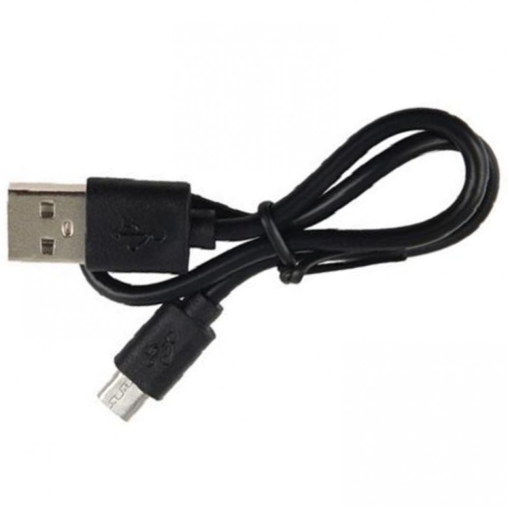 Câble chargeur (30cm) Micro-USB vers USB-A - Noir