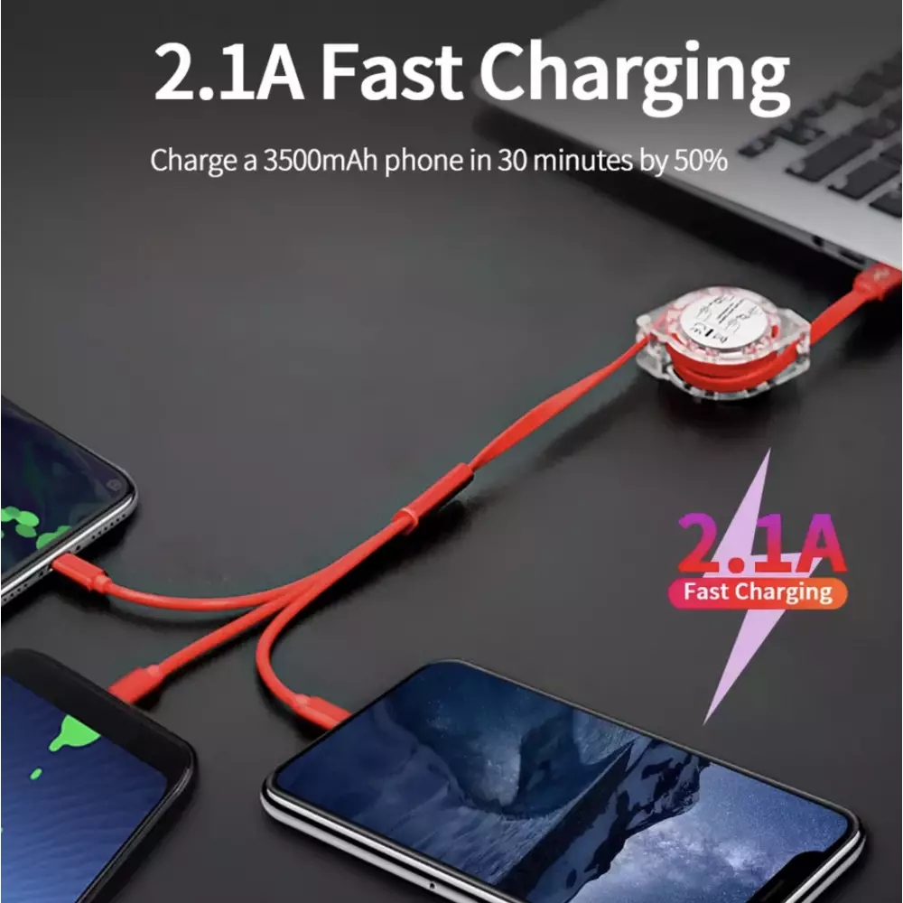 Câble 3 en 1 multi-ports rétractable avec micro-USB, USB-C et Lightning - Argent