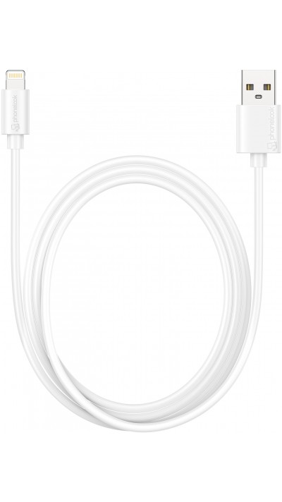 Câble Lightning iPhone USB (1 m) - PhoneLook - Blanc
