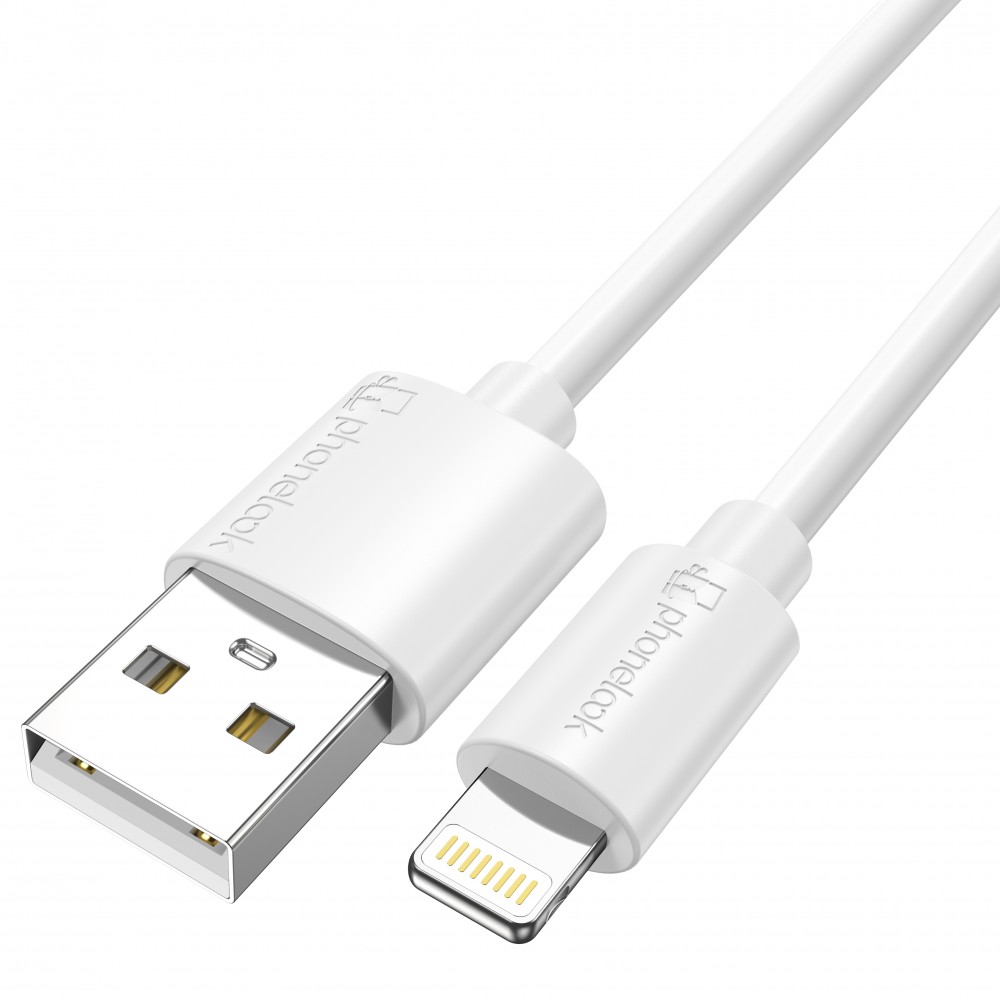 Câble Lightning iPhone USB (1 m) - PhoneLook - Blanc