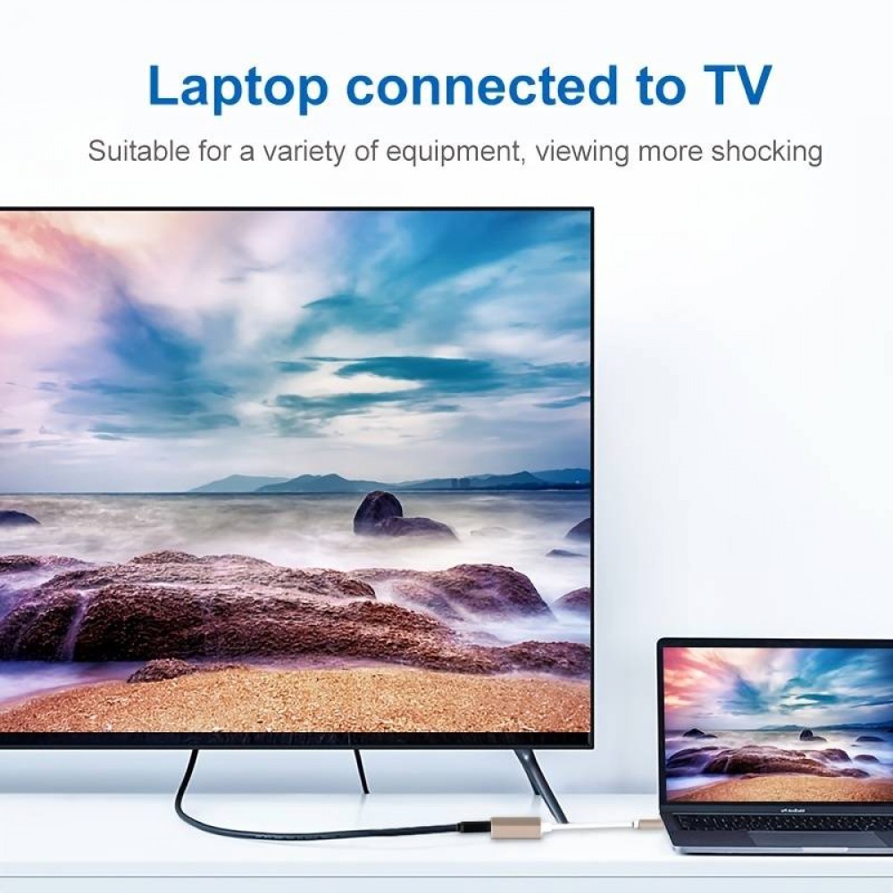 Câble adaptateur USB-C à VGA (1080p) converteur support hot plug-in - Argent