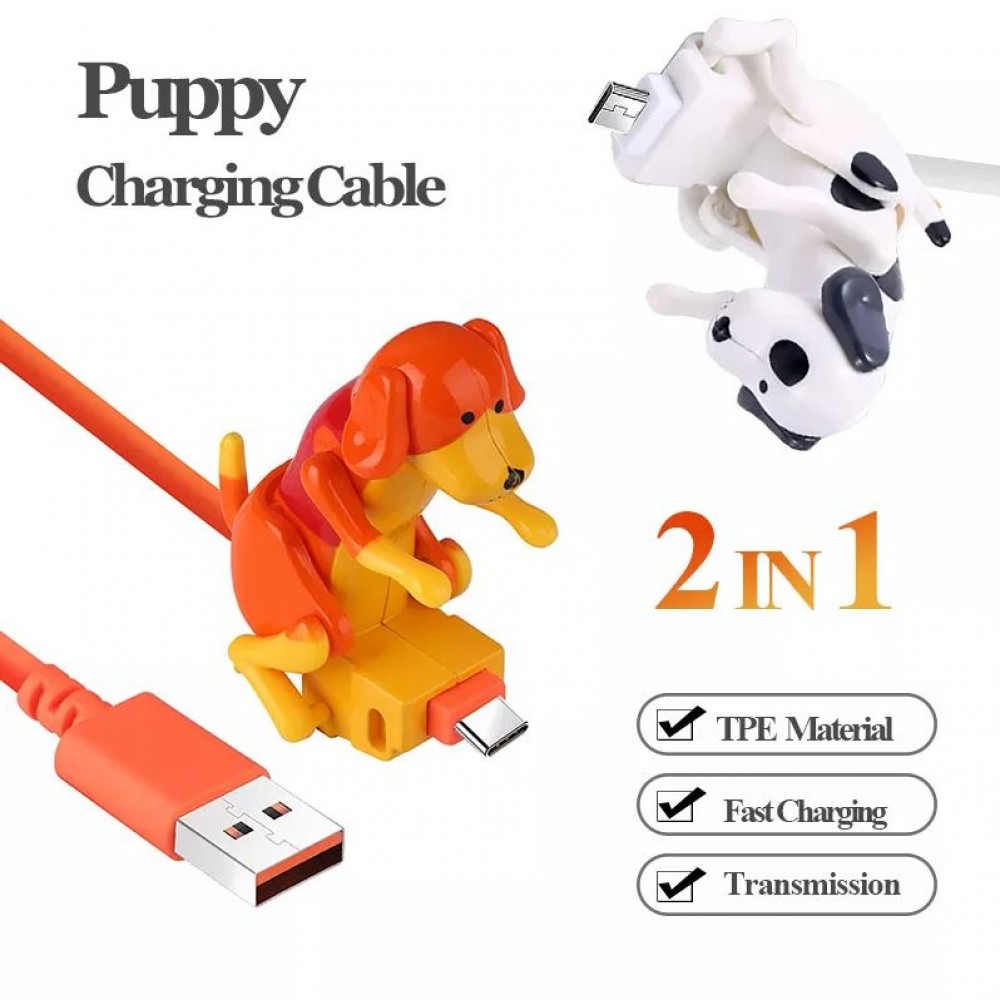 Câble chargeur (1 m) USB-C vers USB-A - chien excité qui bouge - Blanc