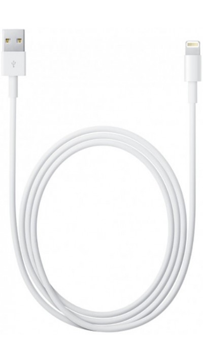 Câble de charge Lightning vers USB-A original Apple iPhone (1 m) - Blanc