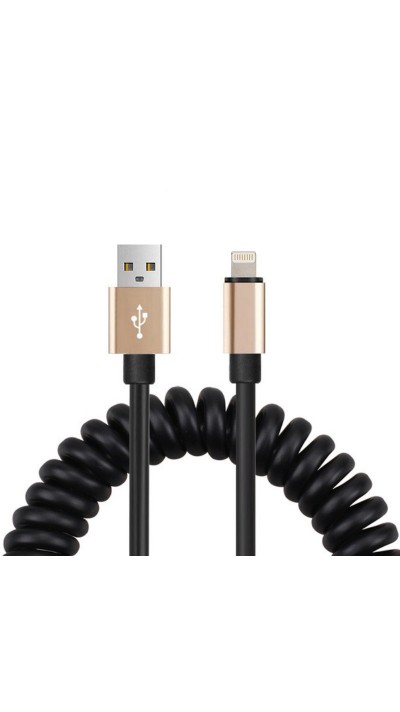 Câble iPhone extensible et flexible - Lightning vers USB-A - Noir