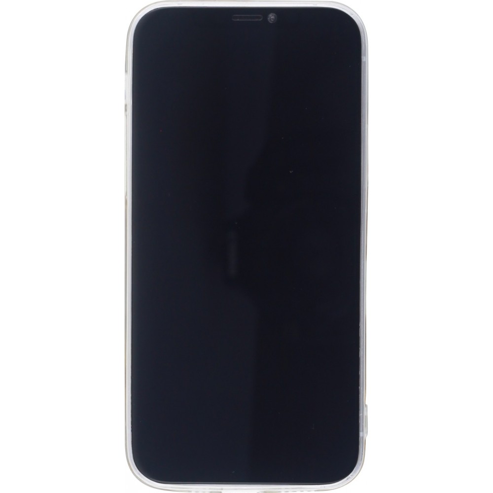 Hülle iPhone 12 Pro Max - Glass 3D Universum - Transparent