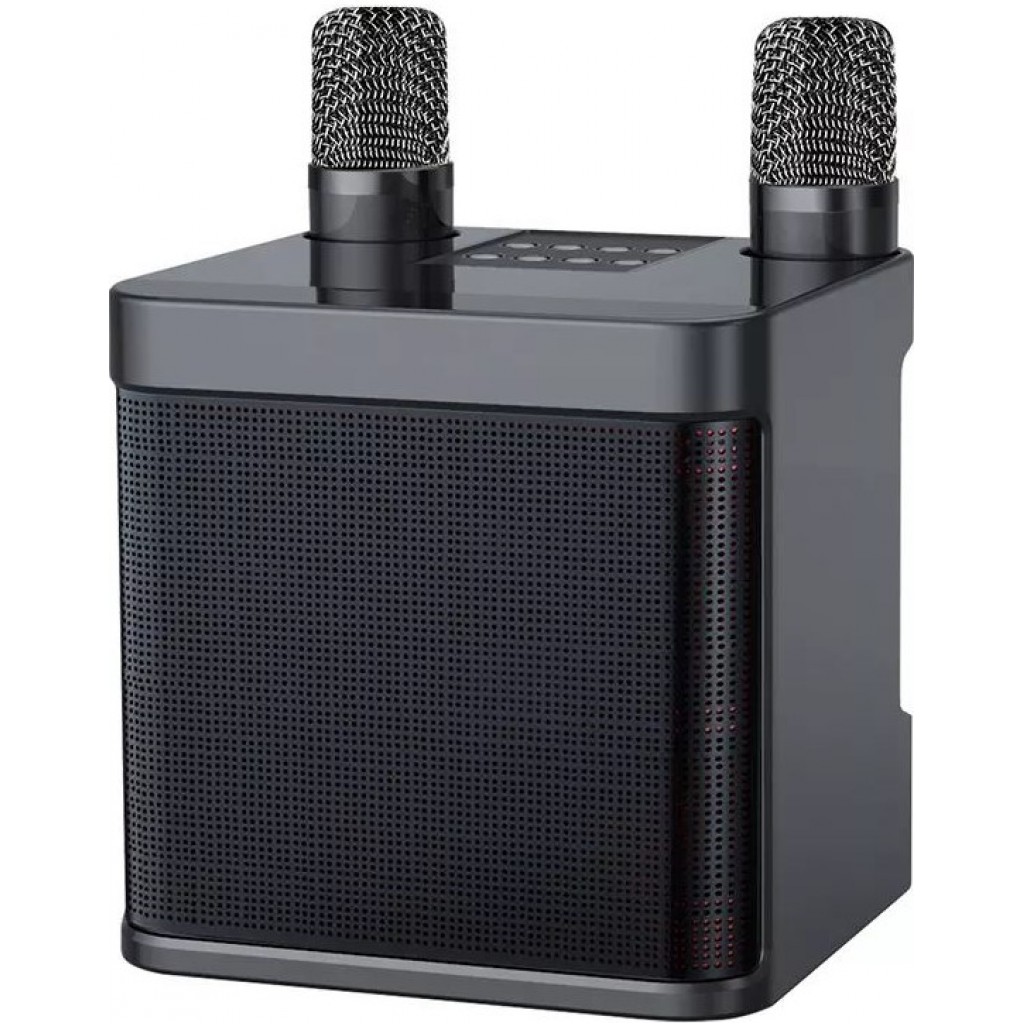 Karaoke Lautsrecher YS203 Bluetooth Wireless + 2 kabellose Mikrofone