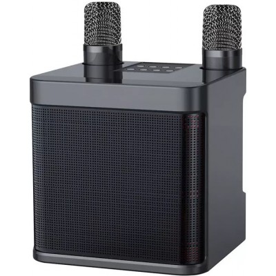 Haut-parleur enceinte karaoké YS-203 Bluetooth wireless + 2 microphones sans fil - Noir