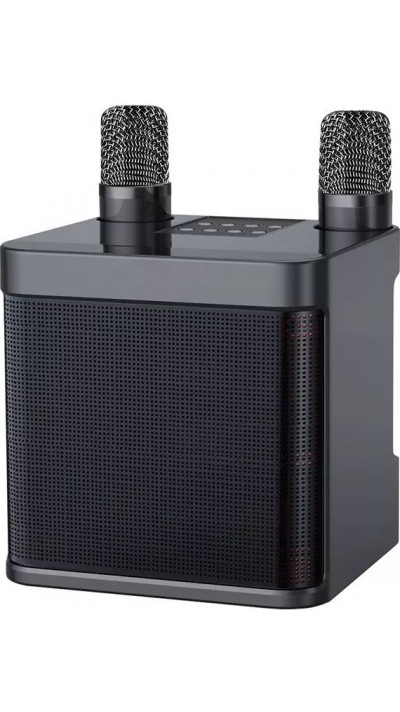 Haut-parleur enceinte karaoké YS-203 Bluetooth wireless + 2 microphones sans fil - Noir