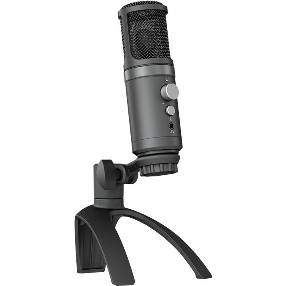 https://www.phonelook.ch/image/cache/data/prod/Hi-Rec_microphone_professionnel_aluminium_pour_studio_et_podcast_incl_pied_ajustable_et_prise_AUX_Noir_Hi-Rec_Professionelles_Alluminium_Studio_Podcast_Mikrofon_inkl_beweglicher_Stand_AUX_Anschluss_Schwarz-1000x1000.jpg