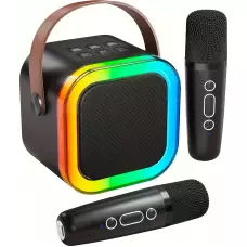 Kabellose Bluetooth Mini Karaoke Lautsprecher mit Mikrofon und LED-Lichtern (inkl. 2 Mikrofone) - Schwarz