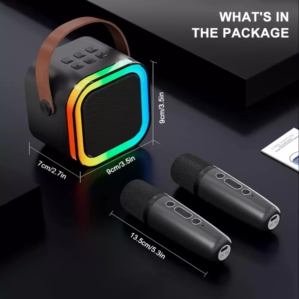 Kabellose Bluetooth Mini Karaoke Lautsprecher mit Mikrofon und LED-Lichtern (inkl. 2 Mikrofone) - Schwarz