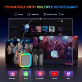 Kabellose Bluetooth Mini Karaoke Lautsprecher mit Mikrofon und LED-Lichtern (inkl. 2 Mikrofone) - Schwarz