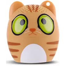 Chat