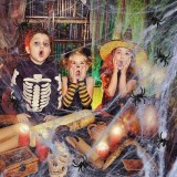 Fiktives Spinnennetz Halloween-Dekoration mit 100 Spinnen (ca. 3 Meter)