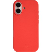 Rot