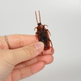 Realistischer brauner Kakerlaken-Kunststoff - Gruseliges Halloween-Insekt - Braun