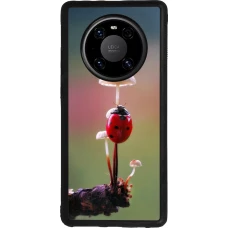 Huawei Mate 40 Pro Case Hülle - Silikon schwarz Ladybird on a mushroom Spring 2026