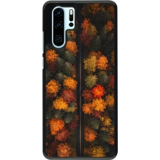 Coque Huawei P30 Pro - Autumn 26 Road in autumn