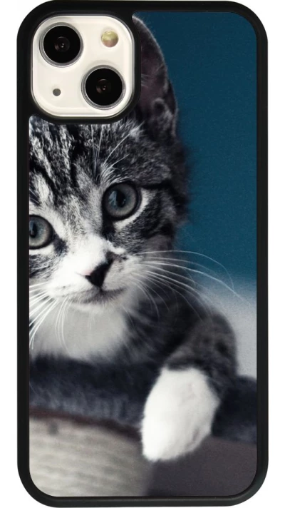 Coque iPhone 13 - Silicone rigide noir Meow 23