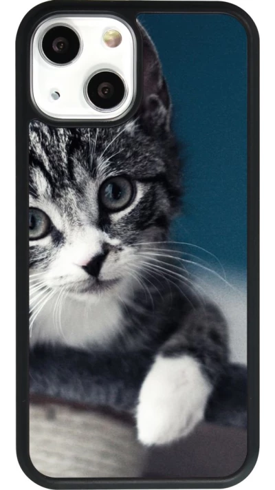 Coque iPhone 13 mini - Silicone rigide noir Meow 23